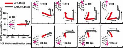 Directional Control Mechanisms in Multidirectional Step Initiating Tasks